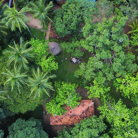 Eco Village Kalundewa ダンブッラ エクステリア 写真
