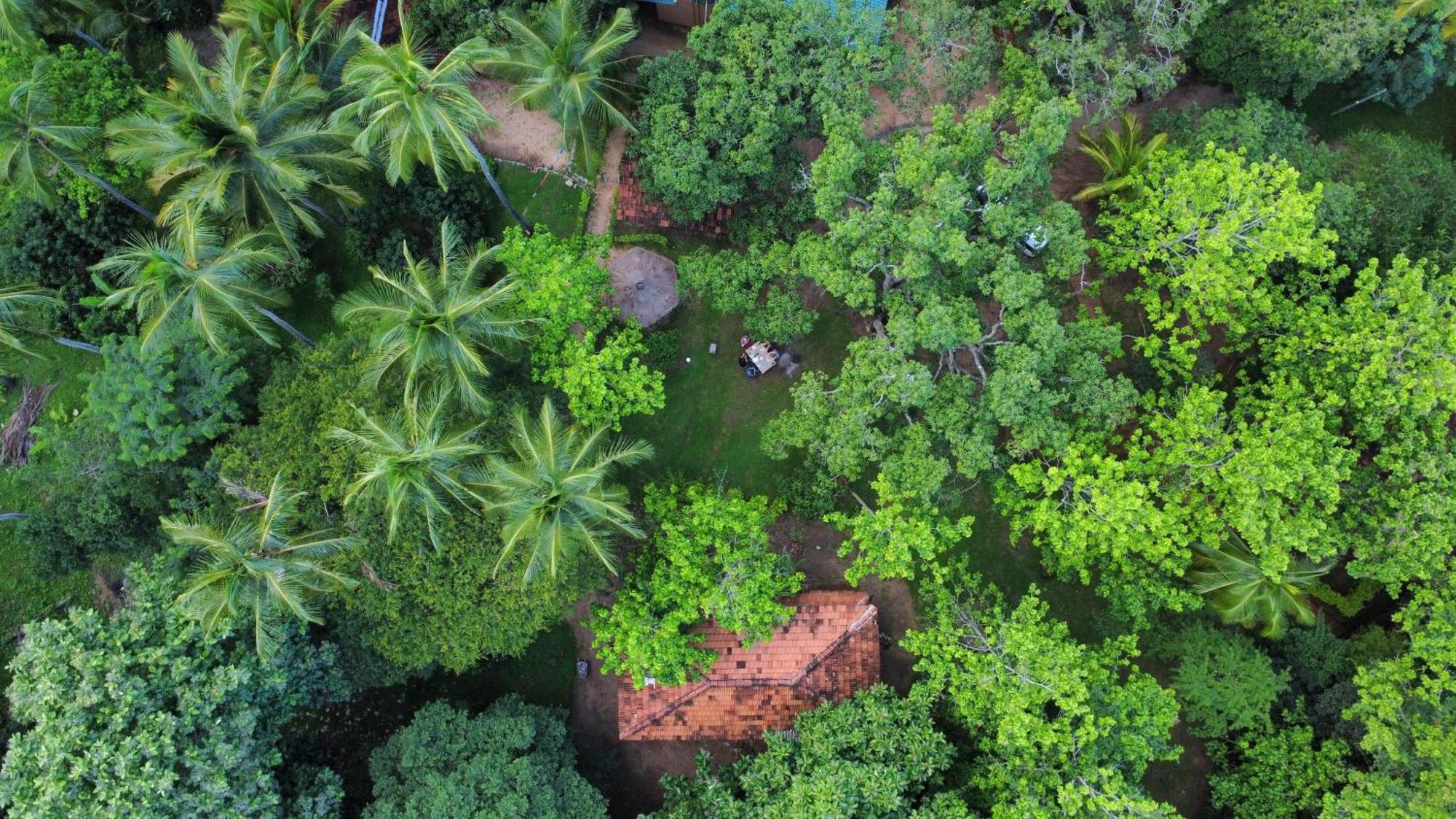 Eco Village Kalundewa ダンブッラ エクステリア 写真