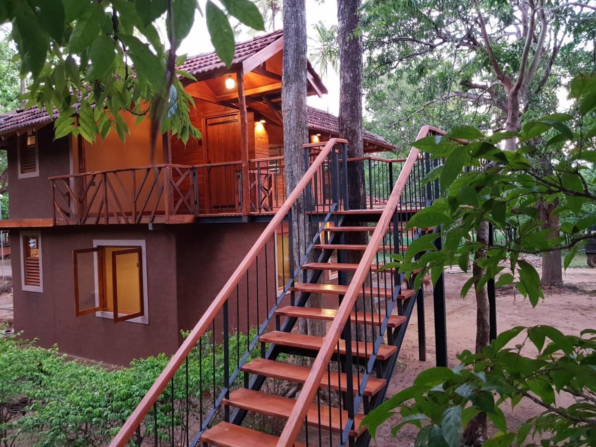 Eco Village Kalundewa ダンブッラ エクステリア 写真