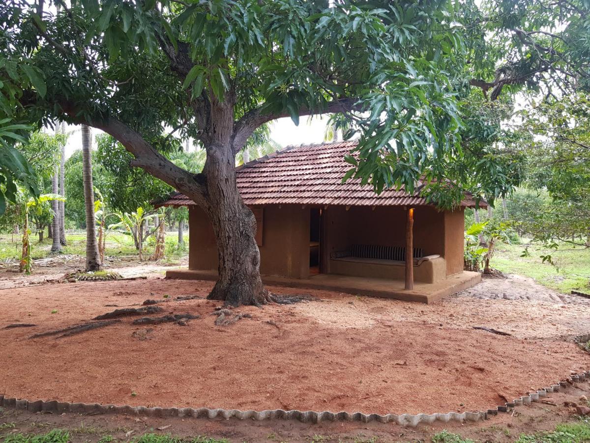 Eco Village Kalundewa ダンブッラ エクステリア 写真