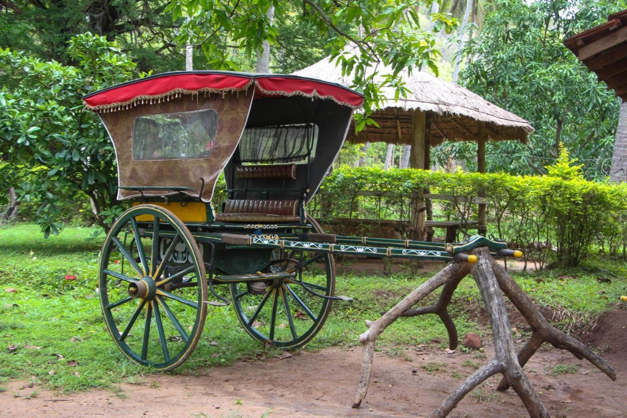 Eco Village Kalundewa ダンブッラ エクステリア 写真