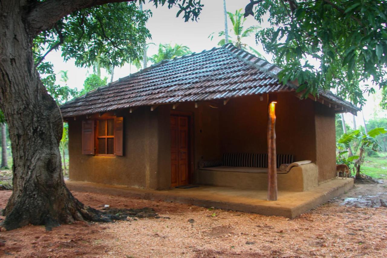 Eco Village Kalundewa ダンブッラ エクステリア 写真